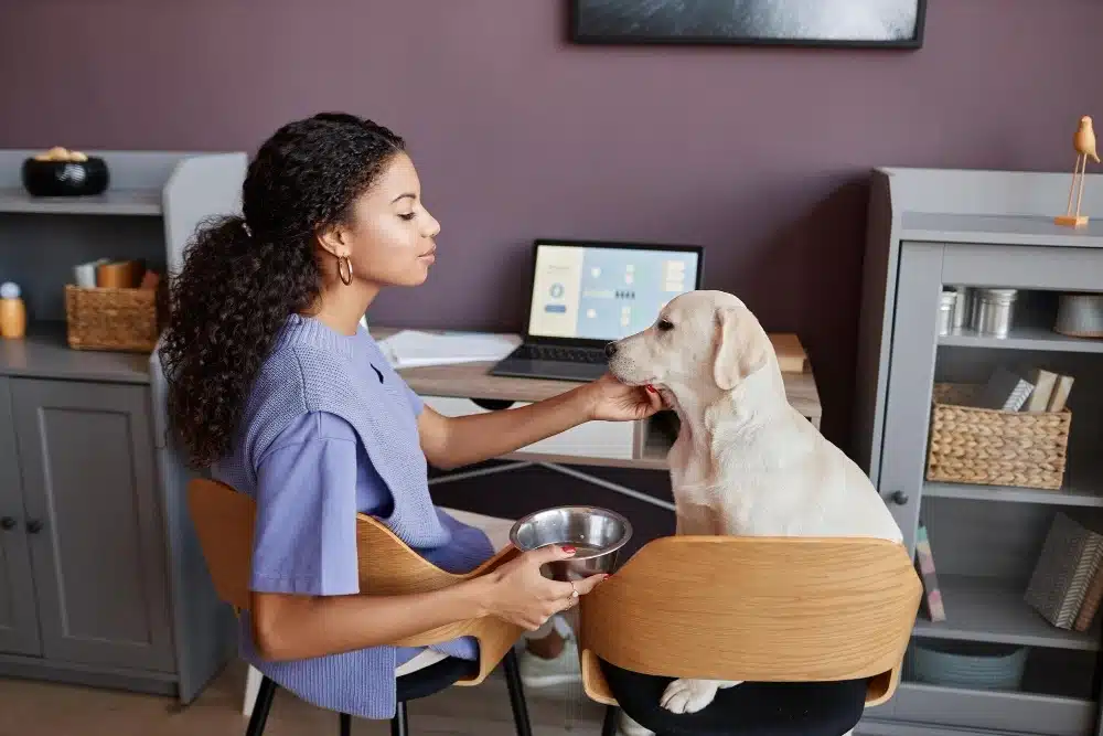 A cheerful pet groomer attending to a happy dog in a professional setting