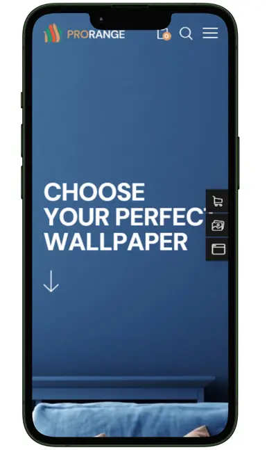 painters website design
