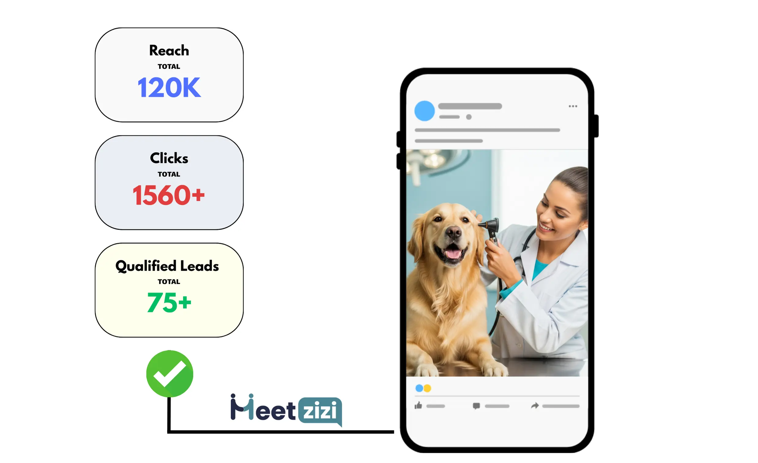 Facebook Ad results for Veterinary Clinics business