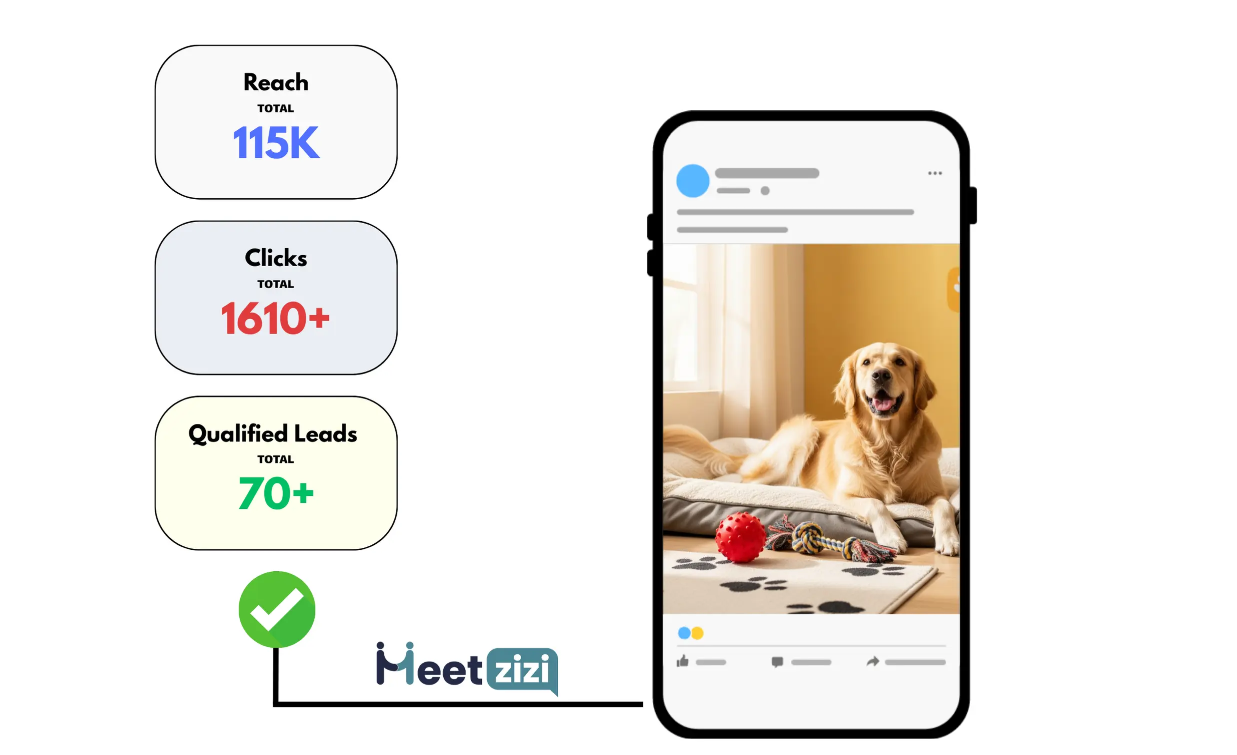 Facebook Ads results for pet boarding business