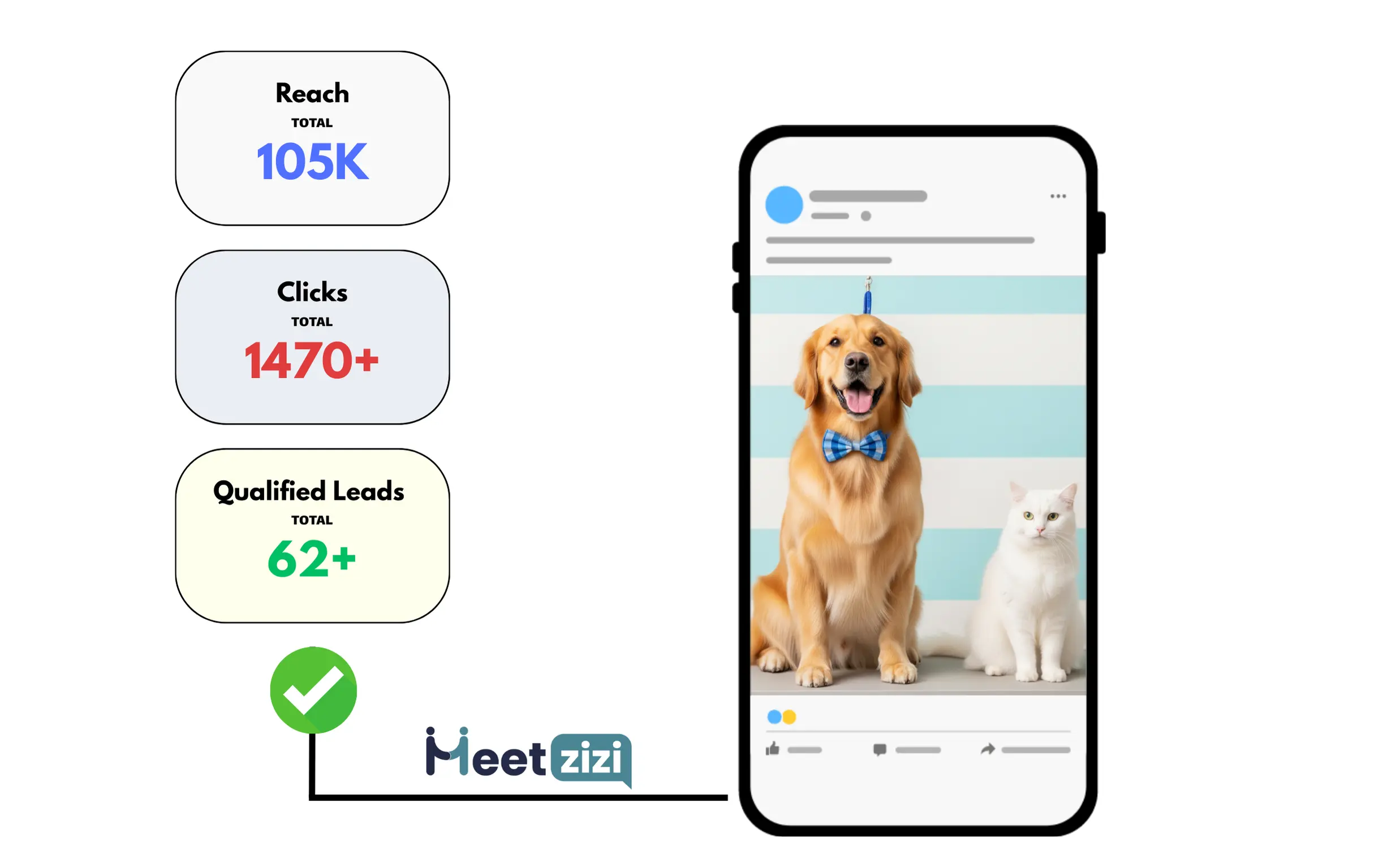 Facebook Ads results for pet grooming business