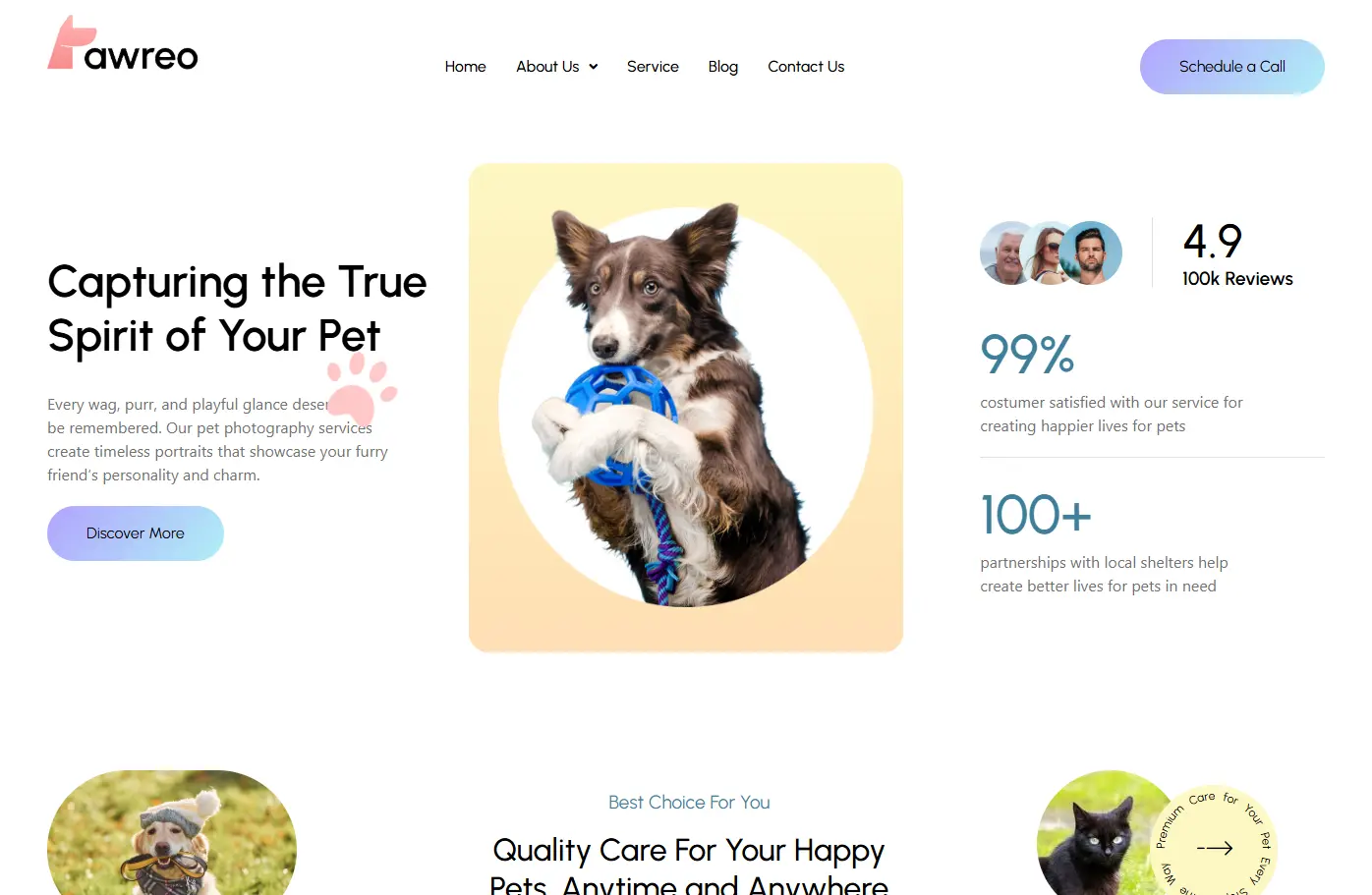Pet photography desktop website design and development