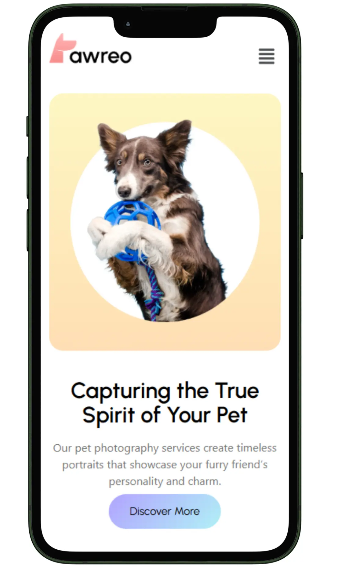 Pet photography website design and development