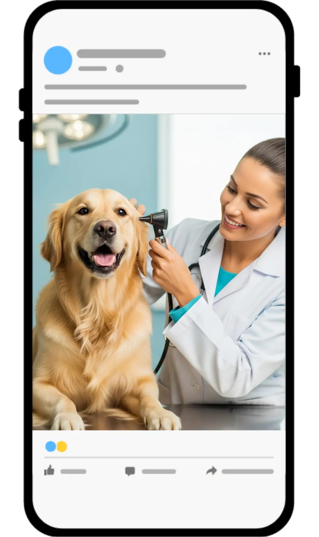 Veterinary Clinics business facebook ads case study results