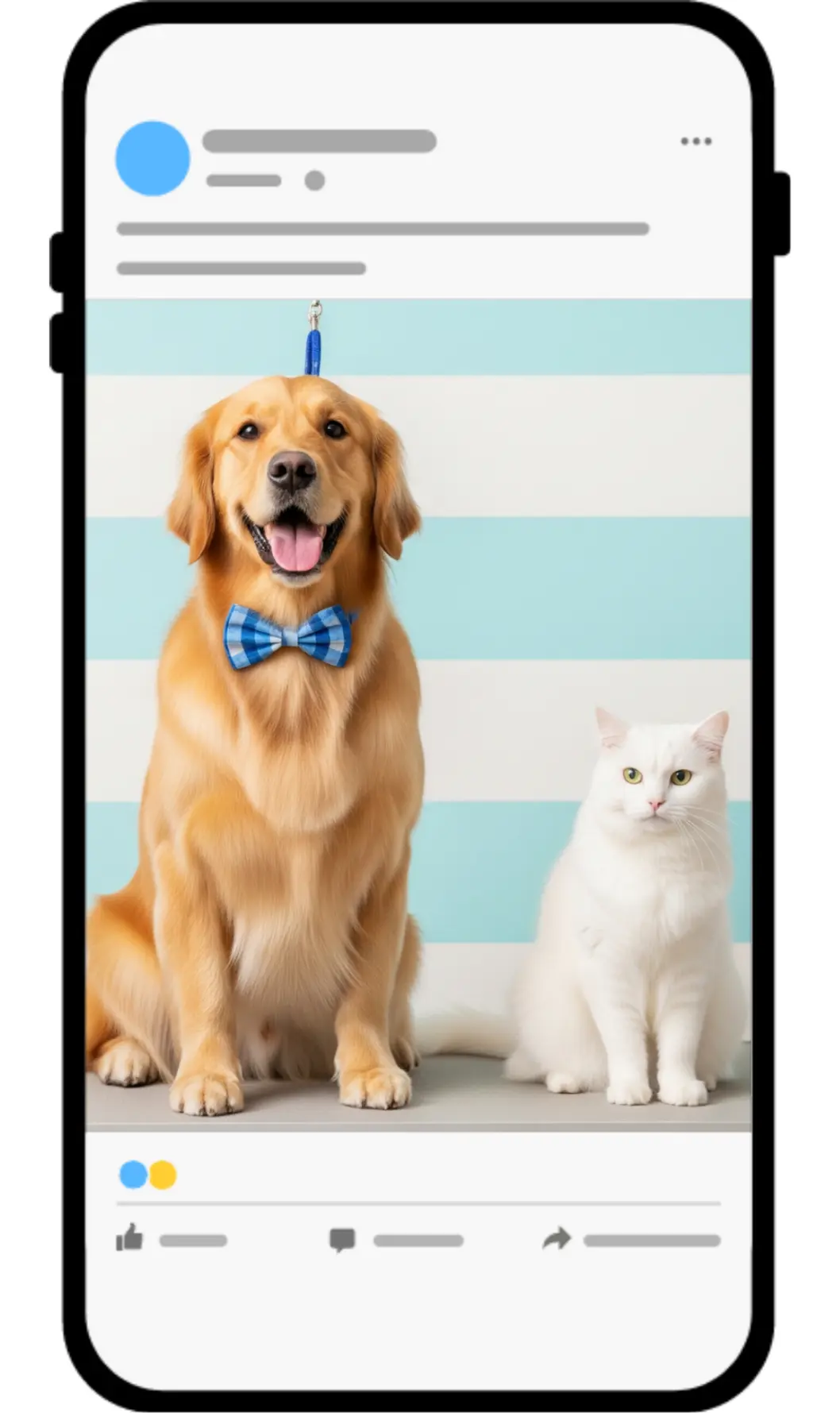 pet grooming business facebook ads case study results