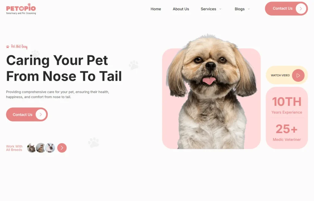 pet grooming desktop website design and development