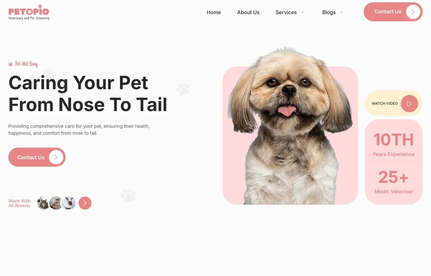 pet grooming desktop website design and development