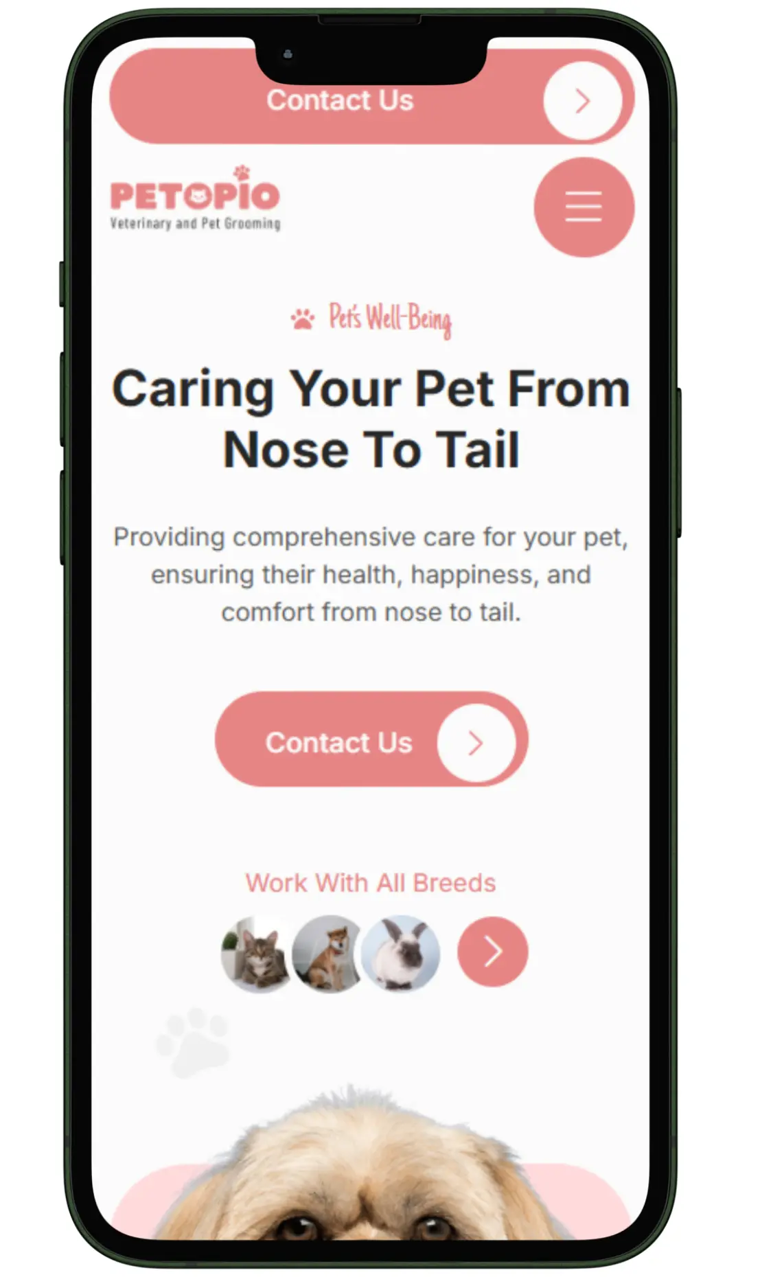 pet grooming website design and development (1)