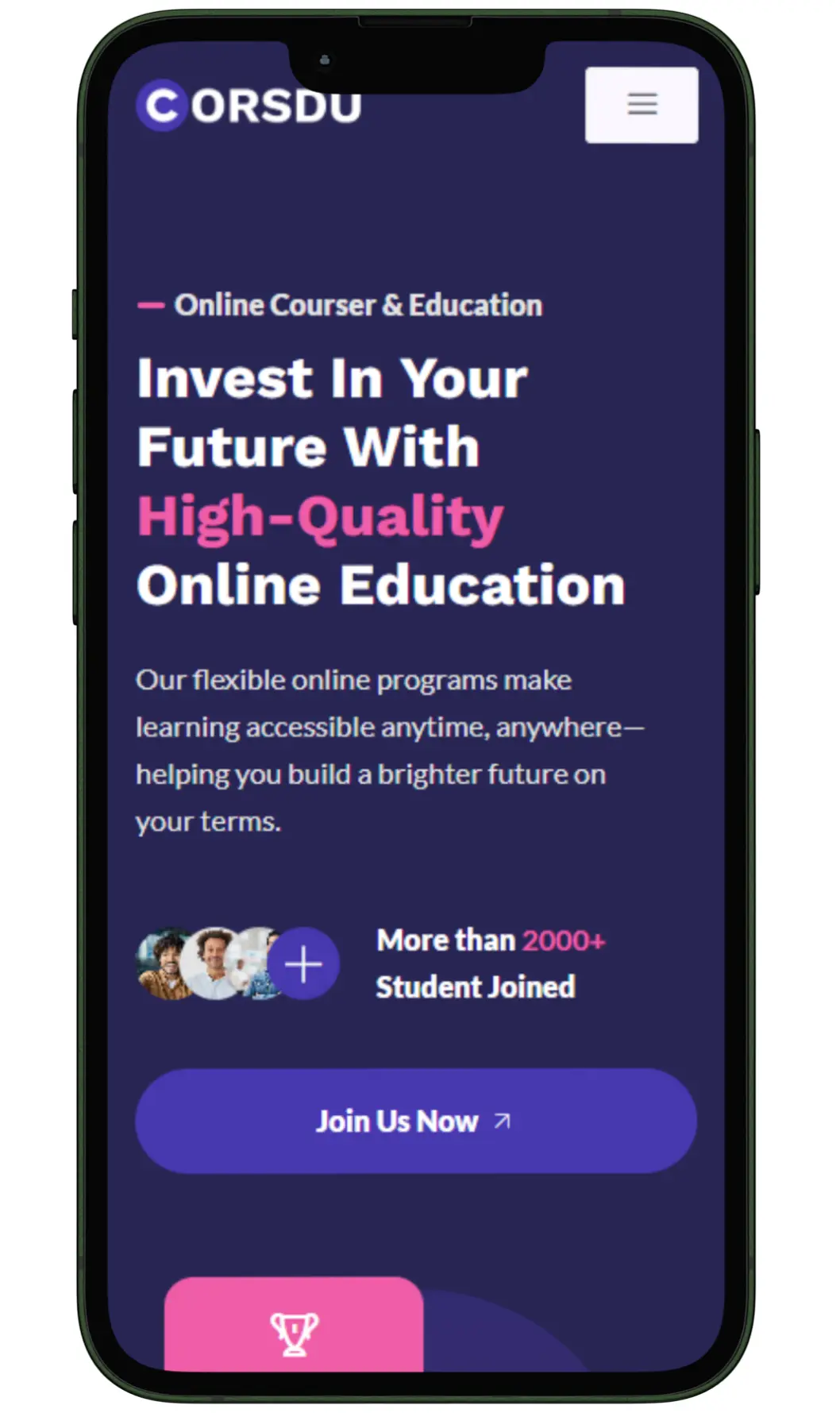 Vocational Training Institutes website design and development