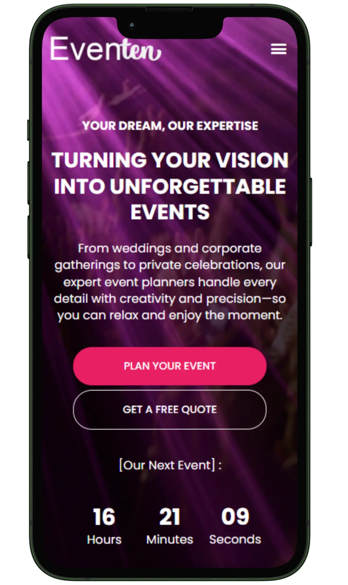 event planners website design and development by meetzizi